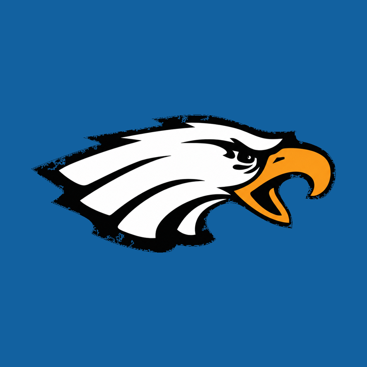 CSD-F logo