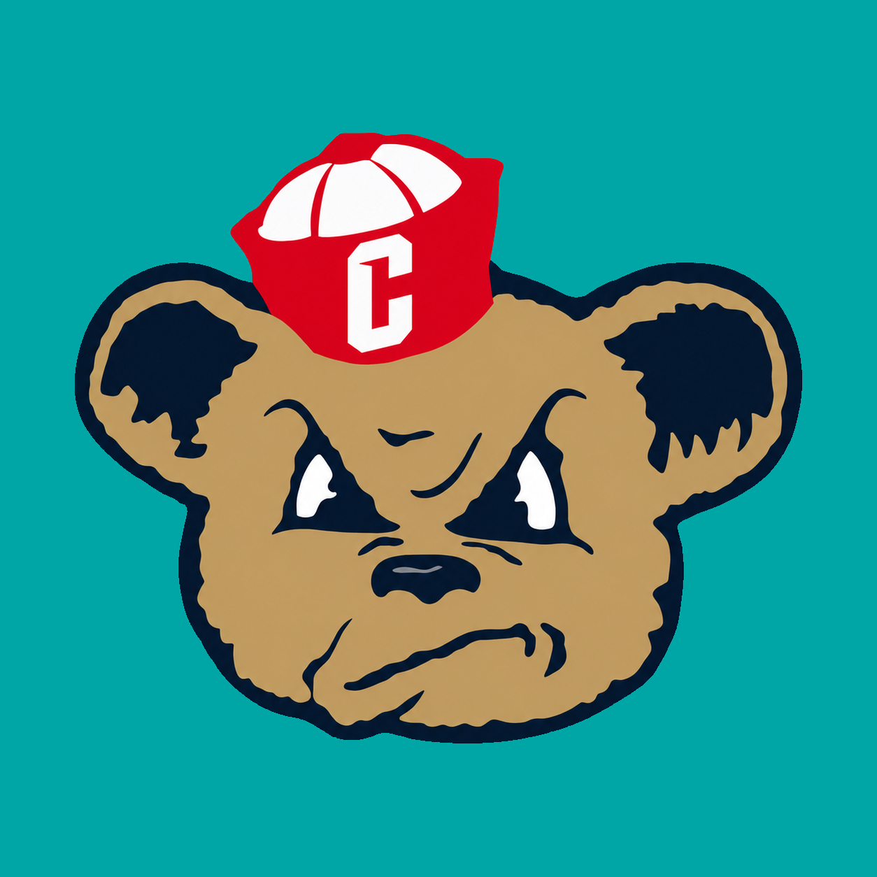 CSD-R logo