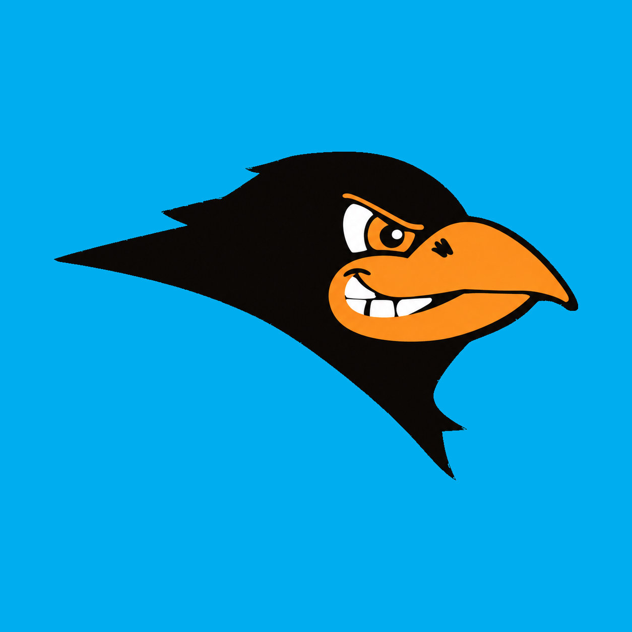 MSD logo